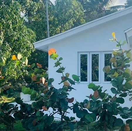 The Cay House Otel Mangrove Cay Dış mekan fotoğraf