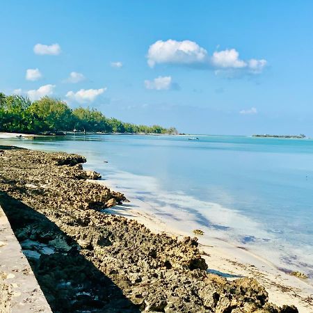 The Cay House Otel Mangrove Cay Dış mekan fotoğraf