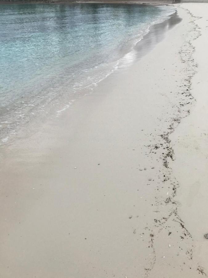 The Cay House Otel Mangrove Cay Dış mekan fotoğraf