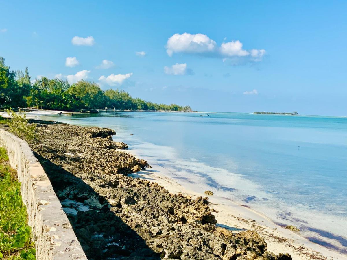 The Cay House Otel Mangrove Cay Dış mekan fotoğraf